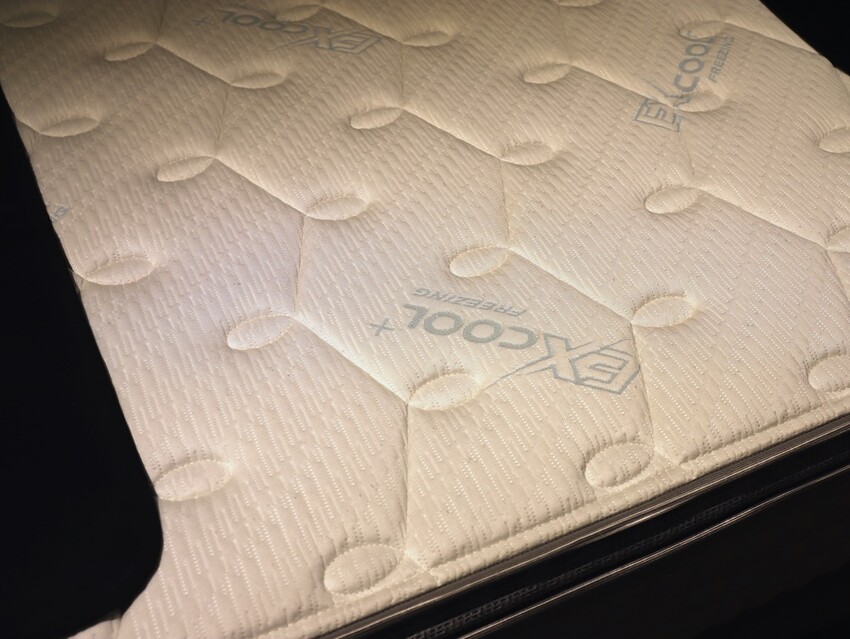 晶華傢俱台南店/台南家具推薦:從平價到奢華,一站購足/床墊床架餐桌,專屬傢配師規劃新家空間 - 進食的巨鼠