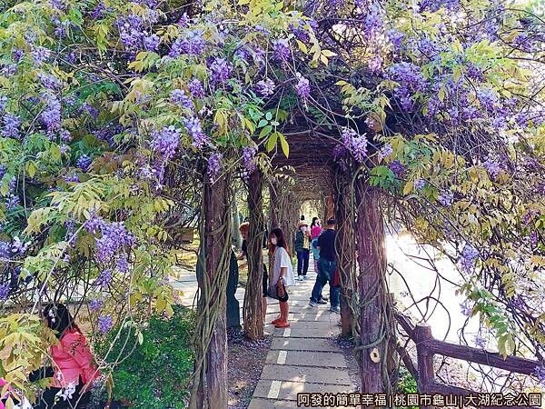 大湖紀念公園06-紫藤花棚廊道.jpg