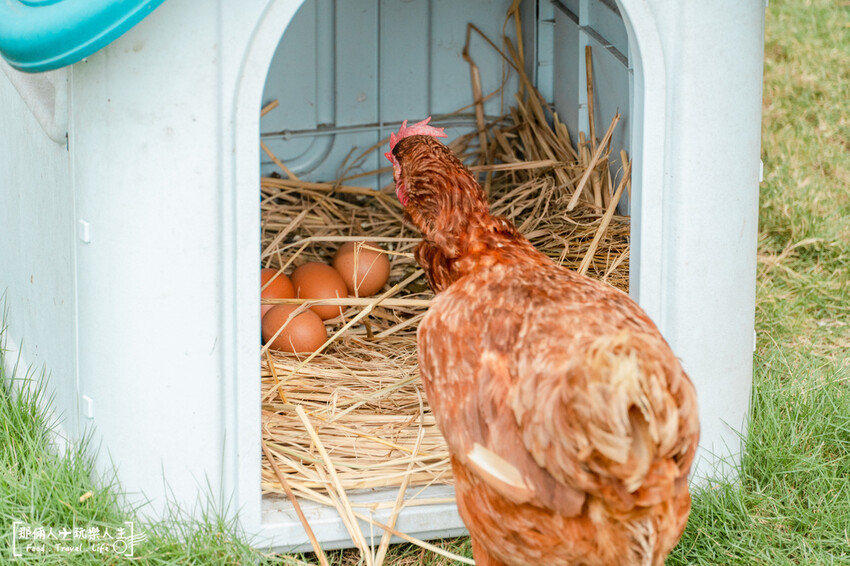 果然茶香觀光園區|親子同遊的休息站,附設免費停車場~