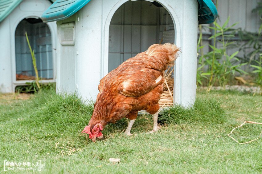 果然茶香觀光園區|親子同遊的休息站,附設免費停車場~