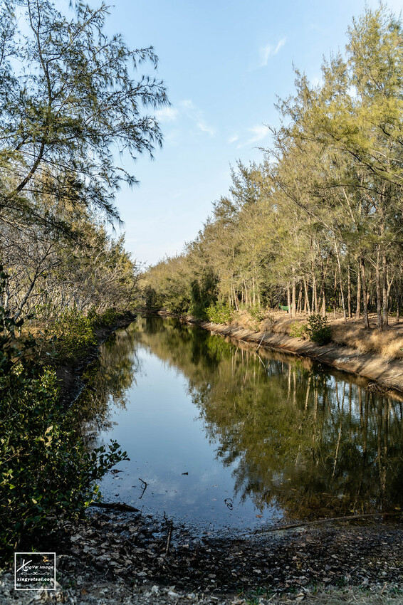 嘉義｜布袋景點【好美里水漾森林】第1920號保安林 / 夕陽的光影令人陶醉，一起深入絕美秘境吧！ | 快門下的幸福