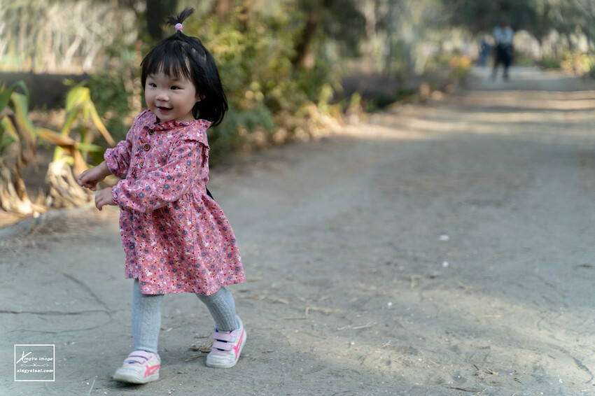 嘉義｜布袋景點【好美里水漾森林】第1920號保安林 / 夕陽的光影令人陶醉，一起深入絕美秘境吧！ | 快門下的幸福