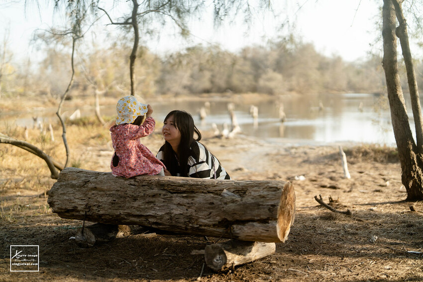 嘉義｜布袋景點【好美里水漾森林】第1920號保安林 / 夕陽的光影令人陶醉，一起深入絕美秘境吧！ | 快門下的幸福