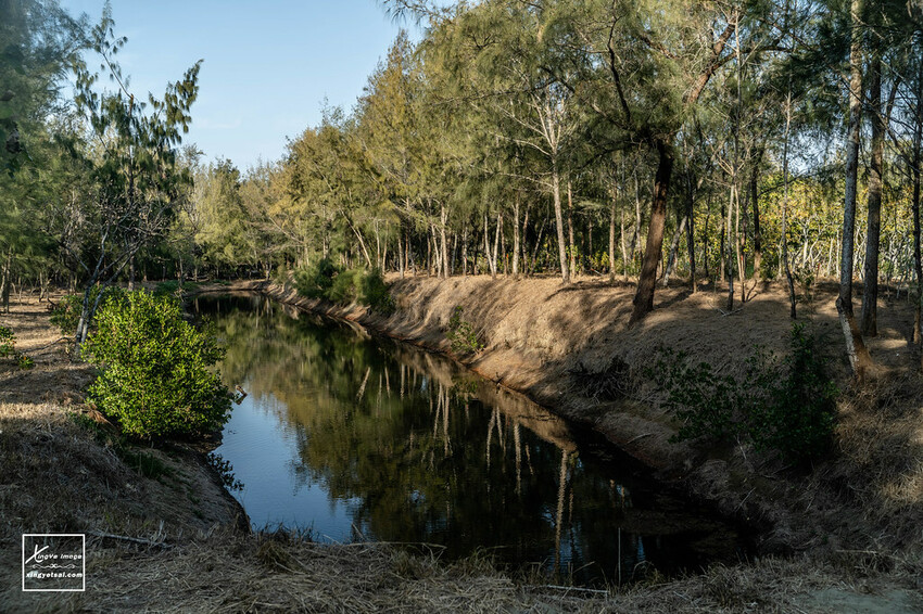 嘉義｜布袋景點【好美里水漾森林】第1920號保安林 / 夕陽的光影令人陶醉，一起深入絕美秘境吧！ | 快門下的幸福
