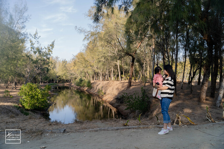 嘉義｜布袋景點【好美里水漾森林】第1920號保安林 / 夕陽的光影令人陶醉，一起深入絕美秘境吧！ | 快門下的幸福