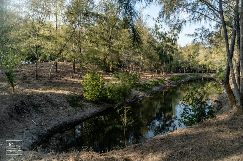 嘉義｜布袋景點【好美里水漾森林】第1920號保安林 / 夕陽的光影令人陶醉，一起深入絕美秘境吧！ | 快門下的幸福