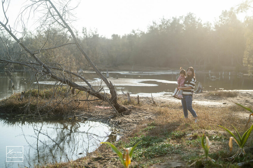 嘉義｜布袋景點【好美里水漾森林】第1920號保安林 / 夕陽的光影令人陶醉，一起深入絕美秘境吧！ | 快門下的幸福