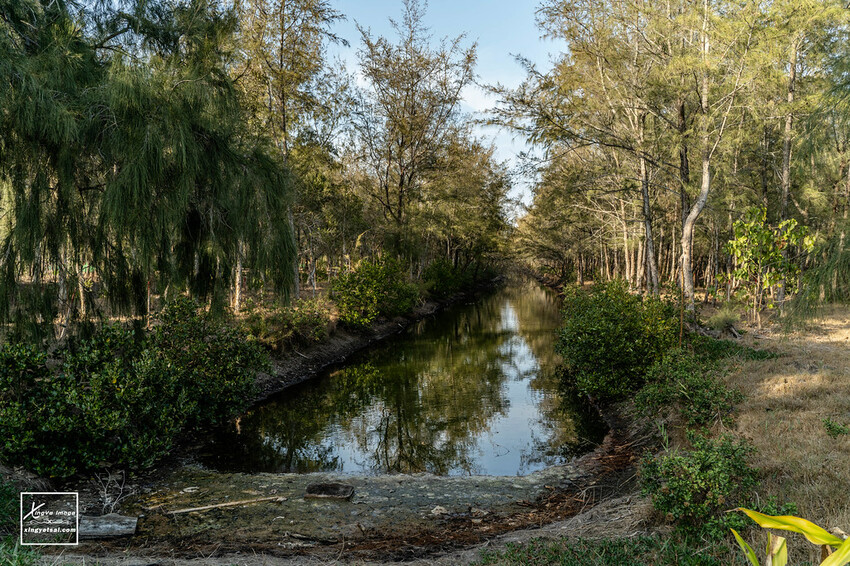 嘉義｜布袋景點【好美里水漾森林】第1920號保安林 / 夕陽的光影令人陶醉，一起深入絕美秘境吧！ | 快門下的幸福