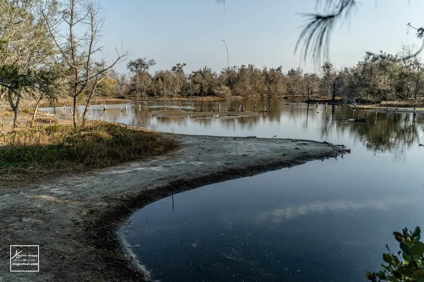 嘉義｜布袋景點【好美里水漾森林】第1920號保安林 / 夕陽的光影令人陶醉，一起深入絕美秘境吧！ | 快門下的幸福