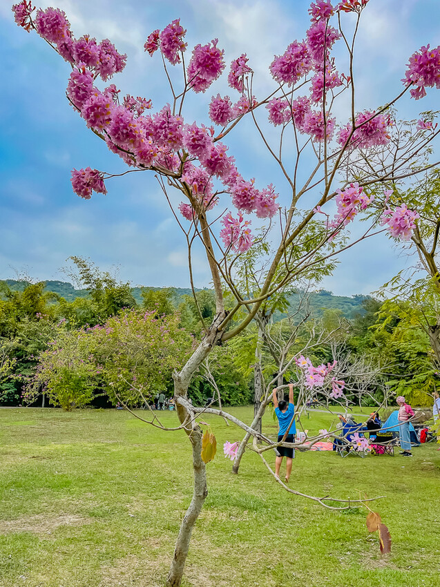 阿公店森林公園