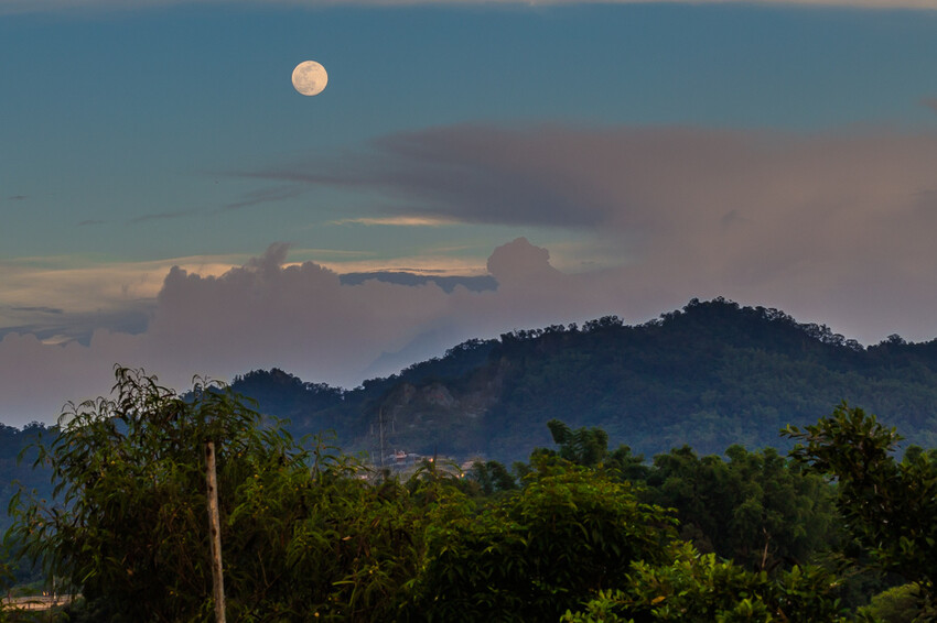 阿公店森林公園