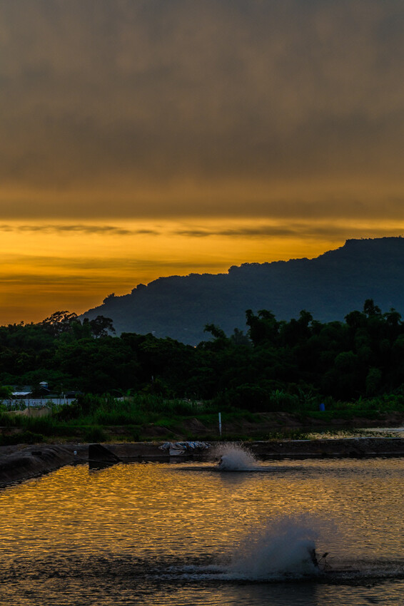 阿公店森林公園