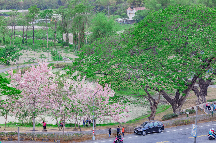 阿公店森林公園