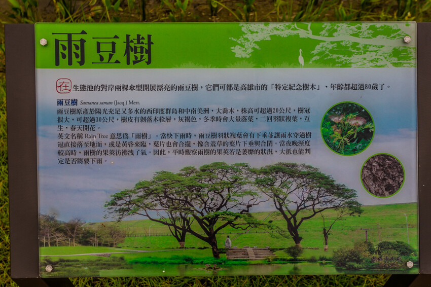 阿公店森林公園