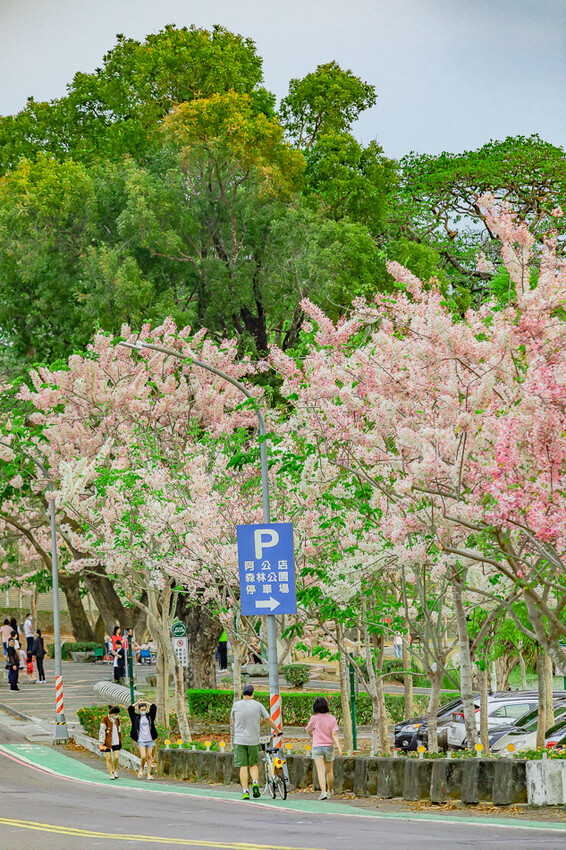 阿公店森林公園