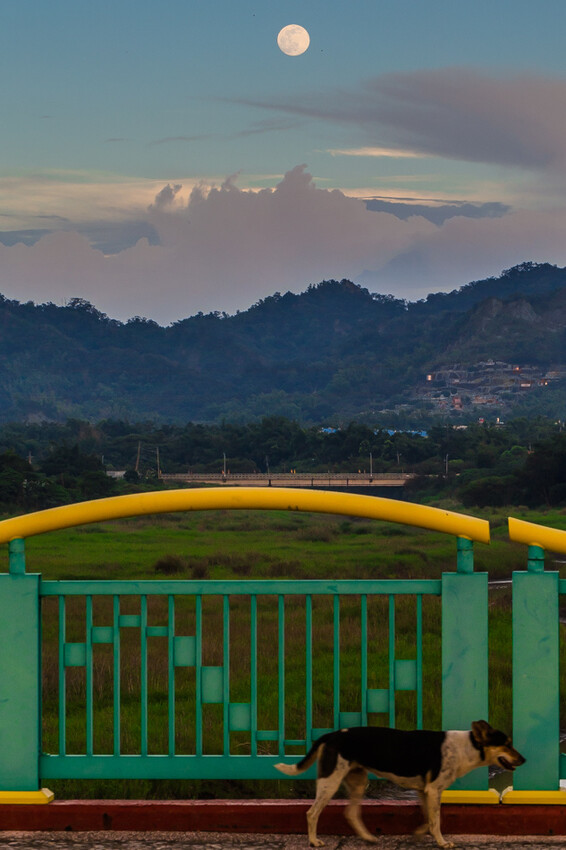 阿公店森林公園