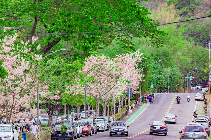 阿公店森林公園