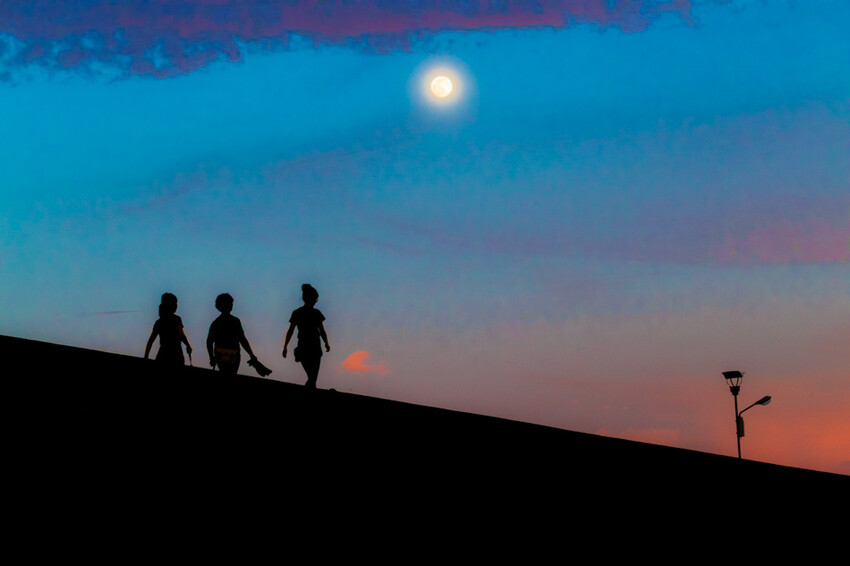 阿公店森林公園