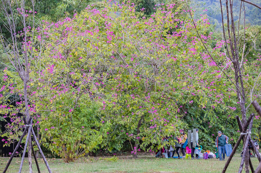 阿公店森林公園