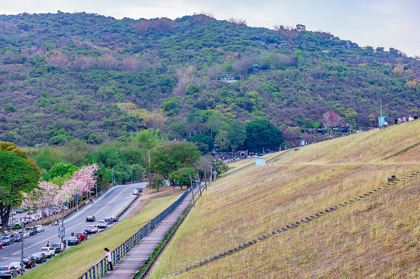 阿公店森林公園