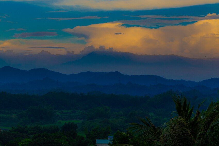 阿公店森林公園