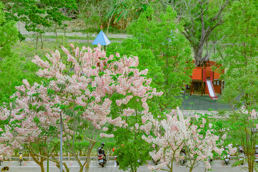 阿公店森林公園