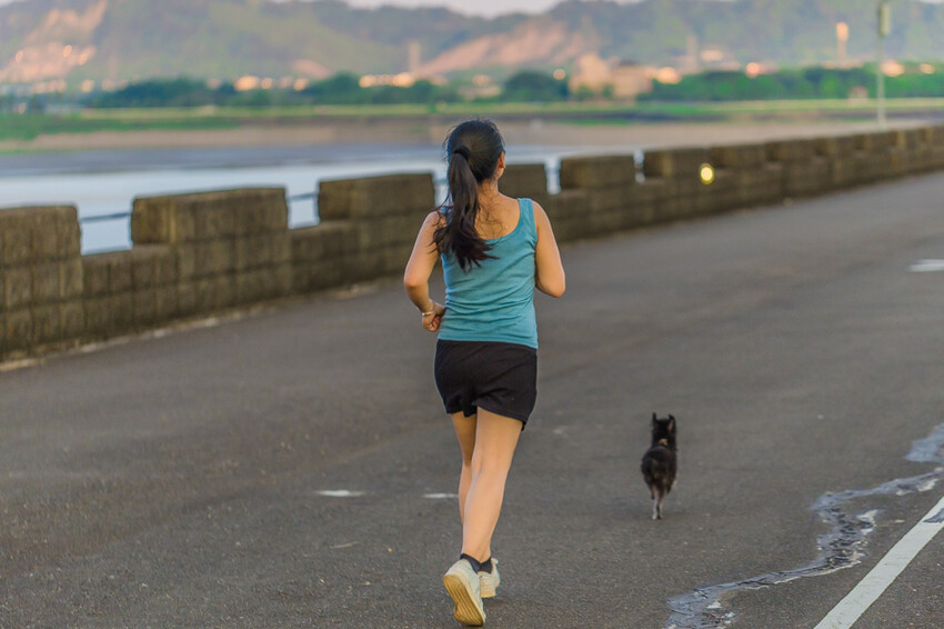 阿公店森林公園