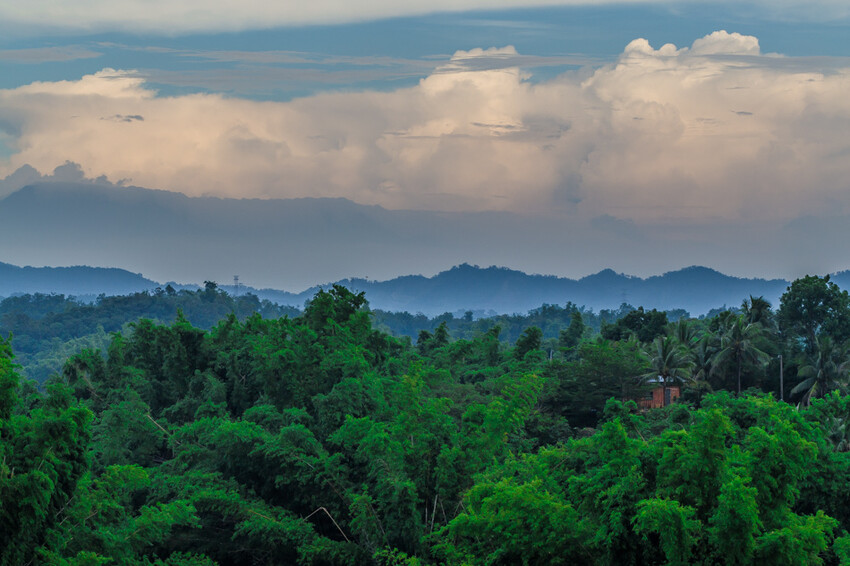 阿公店森林公園