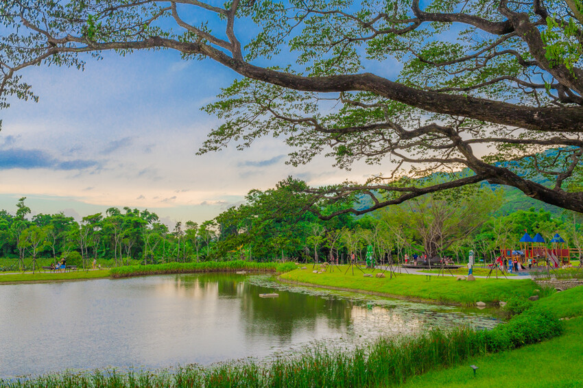 阿公店森林公園
