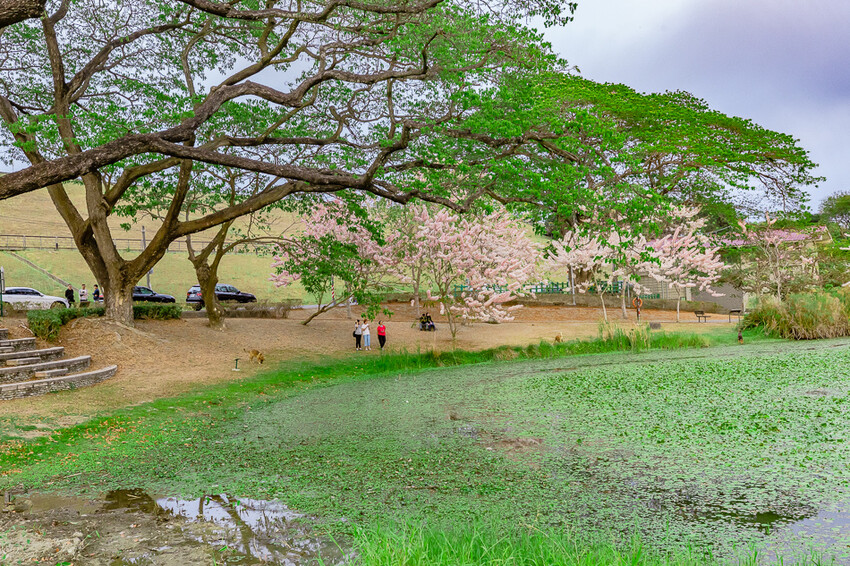 阿公店森林公園