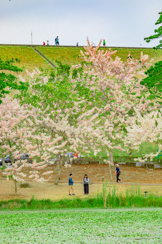 阿公店森林公園