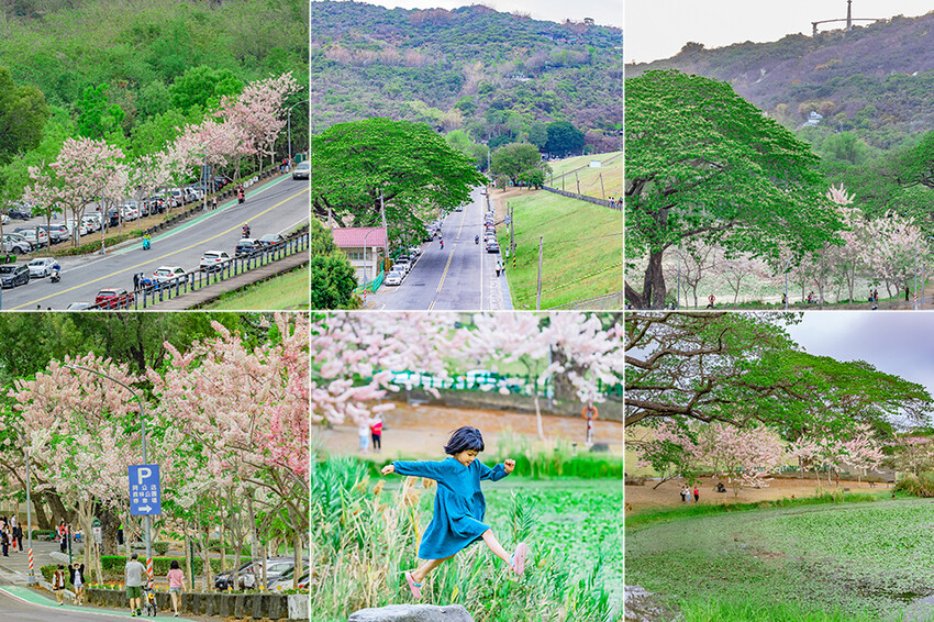 阿公店森林公園
