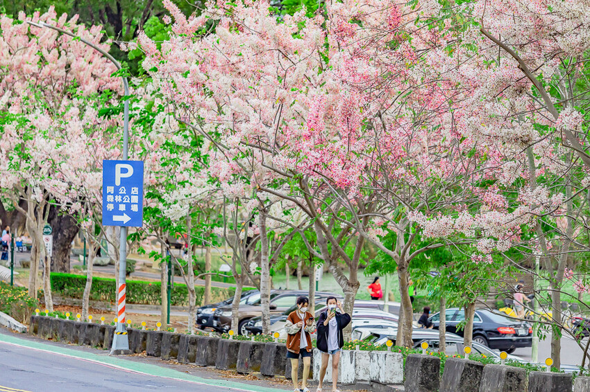 阿公店森林公園
