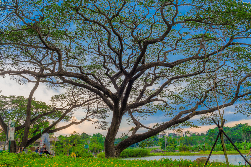 阿公店森林公園