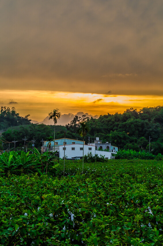 阿公店森林公園