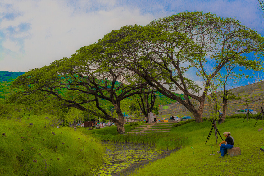 阿公店森林公園