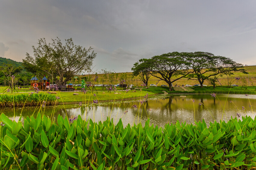 阿公店森林公園