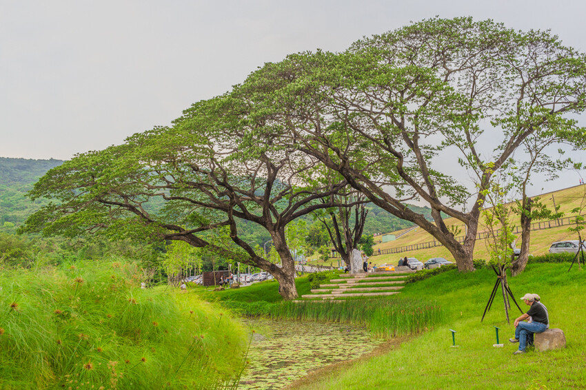 阿公店森林公園