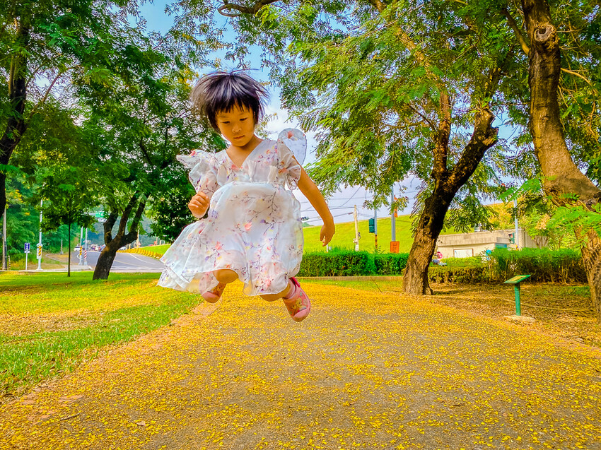 阿公店森林公園