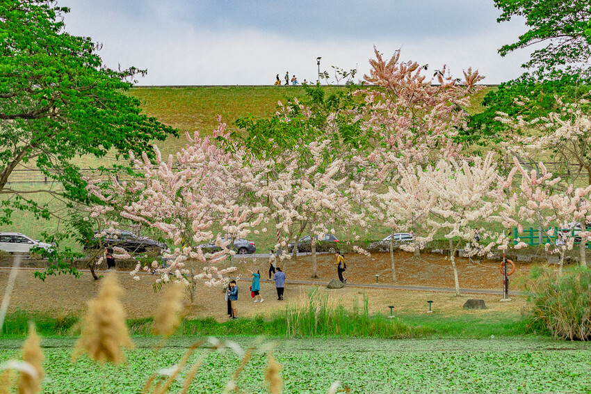 阿公店森林公園