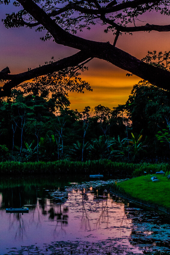 阿公店森林公園
