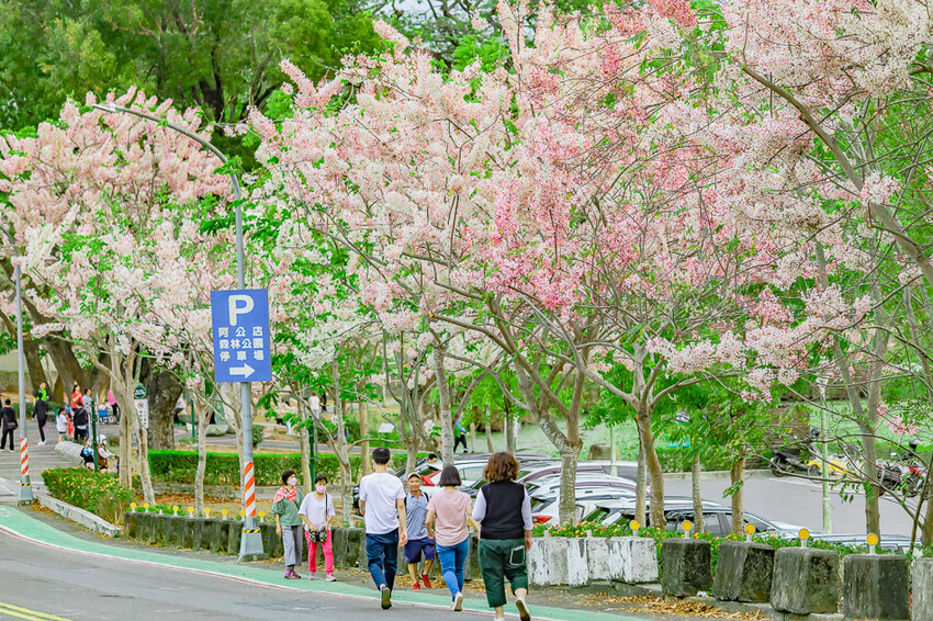 阿公店森林公園