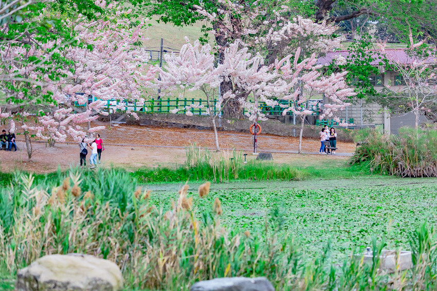 阿公店森林公園