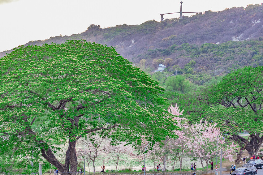 阿公店森林公園