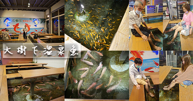 大樹下溫泉魚-01.jpg 大樹下溫泉魚-01.jpg