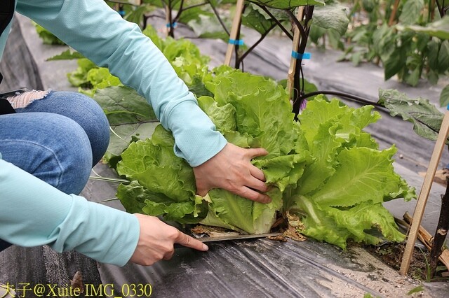 IMG_0330.jpg - 20230421 萬豐曲冰 IMG_0330.jpg - 20230421 萬豐曲冰