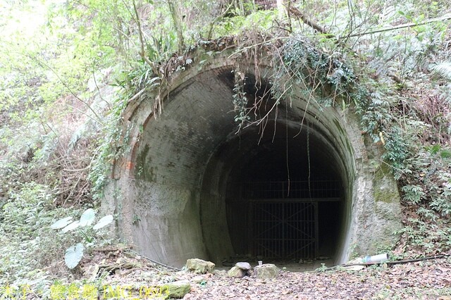 IMG_0693.jpg - 20230419 中正卡度 IMG_0693.jpg - 20230419 中正卡度