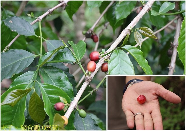 06839.jpg - 20230419 中正卡度 06839.jpg - 20230419 中正卡度