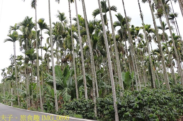 IMG_0690.jpg - 20230419 中正卡度 IMG_0690.jpg - 20230419 中正卡度