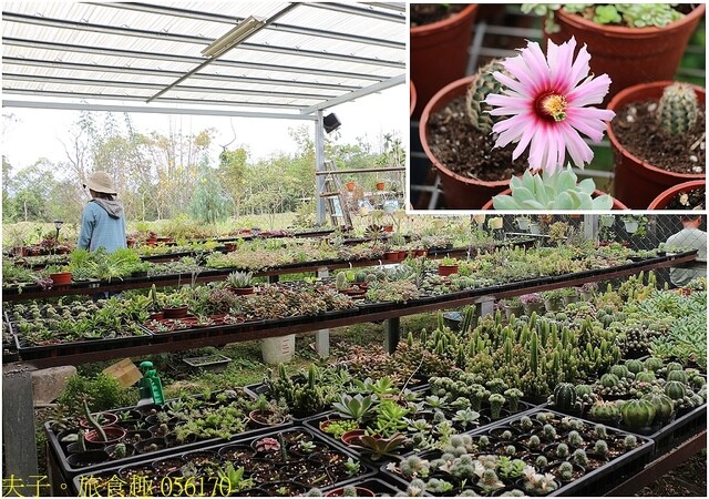 056170.jpg - 20230419 中正卡度 056170.jpg - 20230419 中正卡度